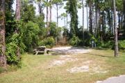 View from the left showing vegetation buffering the campsite.