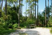 View from the right showing picnic table and ground grill.