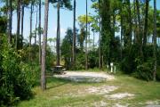 View from the left showing vegetation buffering the campsite.