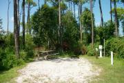 A shell base campsite with native pine trees in the background.  This site has limited shade.