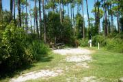 View from the left showing vegetation buffering the campsite.