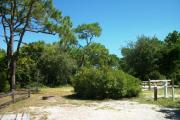A mix of shell and gravel base campsite with some vegetation.  This site is more open and does not provide shade.