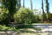 View from the right showing vegetation buffering the campsite.