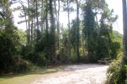 View from the right showing picnic table and ground grill.