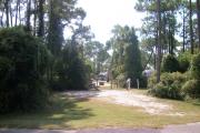 View from the left showing dense vegetation buffering the campsite.
