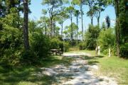 View from the left showing dense vegetation buffering the campsite.