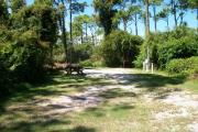 View from the left showing dense vegetation buffering the campsite.