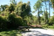 View from the right showing picnic table and ground grill.