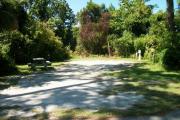 View from the left showing dense vegetation buffering the campsite.