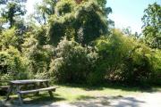 View from the right showing picnic table and ground grill.