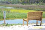 Here is a park bench overlooking the beautiful saltwater marsh with the many shades of green and water in St. Joseph Peninsula State Park.