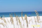 It is a beautiful day to relax under your umbrella on the sugar white sand and cool off in the clear waters of the Gulf of Mexico at St. Joseph Peninsula State Park.