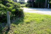 View from the front of the site showing the vegetation surrounding the site and the electrical box on the right hand side.