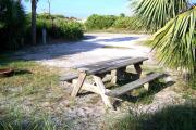 View from the back showing the picnic table and fire ring in the foreground and dunes across the street from the site.