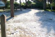 View from the front of the site showing palm trees surrounding the site and the electrical box on the right hand side.