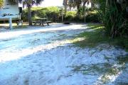 View from the front showing the picnic table and fire ring in the back of the site.