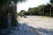 View from the front showing the picnic table and vegetation surrounding the site.