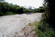 View from the front showing the picnic table on the left and the fire ring in the back of the site.
