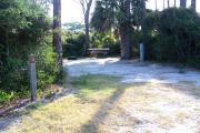 View from the front showing the electrical box on the right and the picnic table and fire ring in the back of the site.