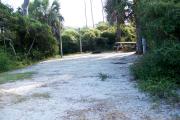 View from the front showing the vegetation surrounding the site and the clothes posts on the left.