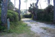 View from the front showing the electrical box on the right and the vegetation surrounding the site.