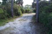 View from the front showing the picnic table and fire ring in the back of the site.
