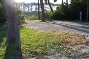 View from the front showing the electrical box on the right and a view of the marsh behind the site.