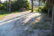View from the front showing the picnic table and fire ring in the back of the site in a grassy area.