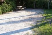 View from the front showing the picnic table on the left and vegetation surrounding the site.