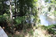 Photo: SUWANNEE RIVER SP