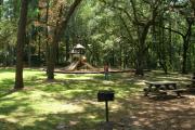 Photo: SUWANNEE RIVER SP