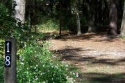 This site includes water, septic, and electric.  Accommodates tents, pop ups and RV's.