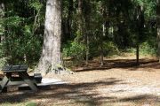 This site includes water, septic, and electric.  Accommodates tents, pop ups and RV's.