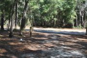 This site includes water, septic, and electric.  Accommodates tents, pop ups and RV's.