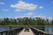 A view of Lake Seminole