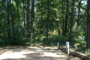 Water and electric hook ups in a shady campsite.