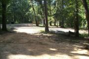 A view from the back of the campsite.