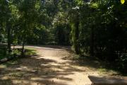 View from the back of the campsite.