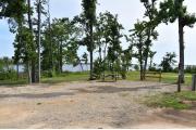 A picnic table and ground grill with electric and water in a campsite with a view of Lake Seminole