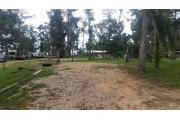 View of deep campground with electric and water hookups.