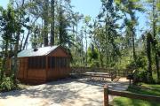 Cabin with concrete pad, picnic table and screened porch surrounded by trees.