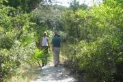 Two hikers stroll down one of the many miles of shaded nature trail toward the brackish water of the Tomoka River. From the shoreline there are many opportunities for wildlife viewing, some of our frequent visitors include: manatee, dolphin, and varieties of fish, as well as birds. Our 12 miles of nature trail meander thru a variety of plant communities, and are accessible to bikers as well as hikers.
