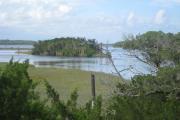 A series of rivers are accessible from the Tomoka State Park boat ramp, including salt and fresh water, giving visitors the opportunity to experience a wide variety of wildlife.
