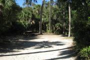 This campsite is tucked back in the shady hammock which provides cover most of the day. There is vegetation providing a boundary from neighboring sites. The ground cover is crushed shell, making a hard packed white surface.