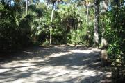This campsite is tucked back in the shady hammock which provides cover most of the day. There is vegetation providing a boundary from neighboring sites. The ground cover is crushed shell, making a hard packed white surface.