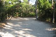 This campsite is tucked back in the shady hammock which provides cover most of the day. There is vegetation providing a boundary from neighboring sites. The ground cover is crushed shell, making a hard packed white surface.