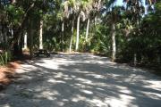 This campsite is tucked back in the shady hammock which provides cover most of the day. There is vegetation providing a boundary from neighboring sites. The ground cover is crushed shell, making a hard packed white surface.