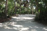 This campsite is tucked back in the shady hammock which provides cover most of the day. There is vegetation providing a boundary from neighboring sites. The ground cover is crushed shell, making a hard packed white surface.