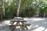 Each site is equipped with a picnic table, lantern post, hose bib, electric hook-up for 20 and 30 amp service, and fire pit on the ground with a fold over grill top.