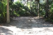 This campsite is tucked back in the shady hammock which provides cover most of the day. There is vegetation providing a boundary from neighboring sites. The ground cover is crushed shell, making a hard packed white surface.